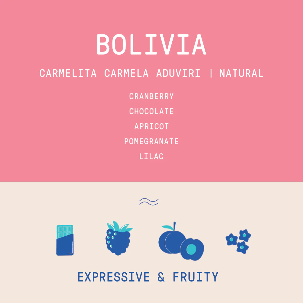 Bolivia - Carmelita Carmela Aduviri | Natural - Archived - Image 2