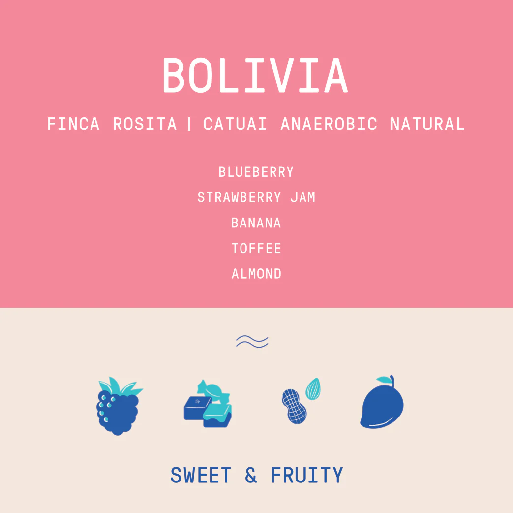 Bolivia - Finca Rosita | Catuai Anaerobic Natural - Archived - Image 2
