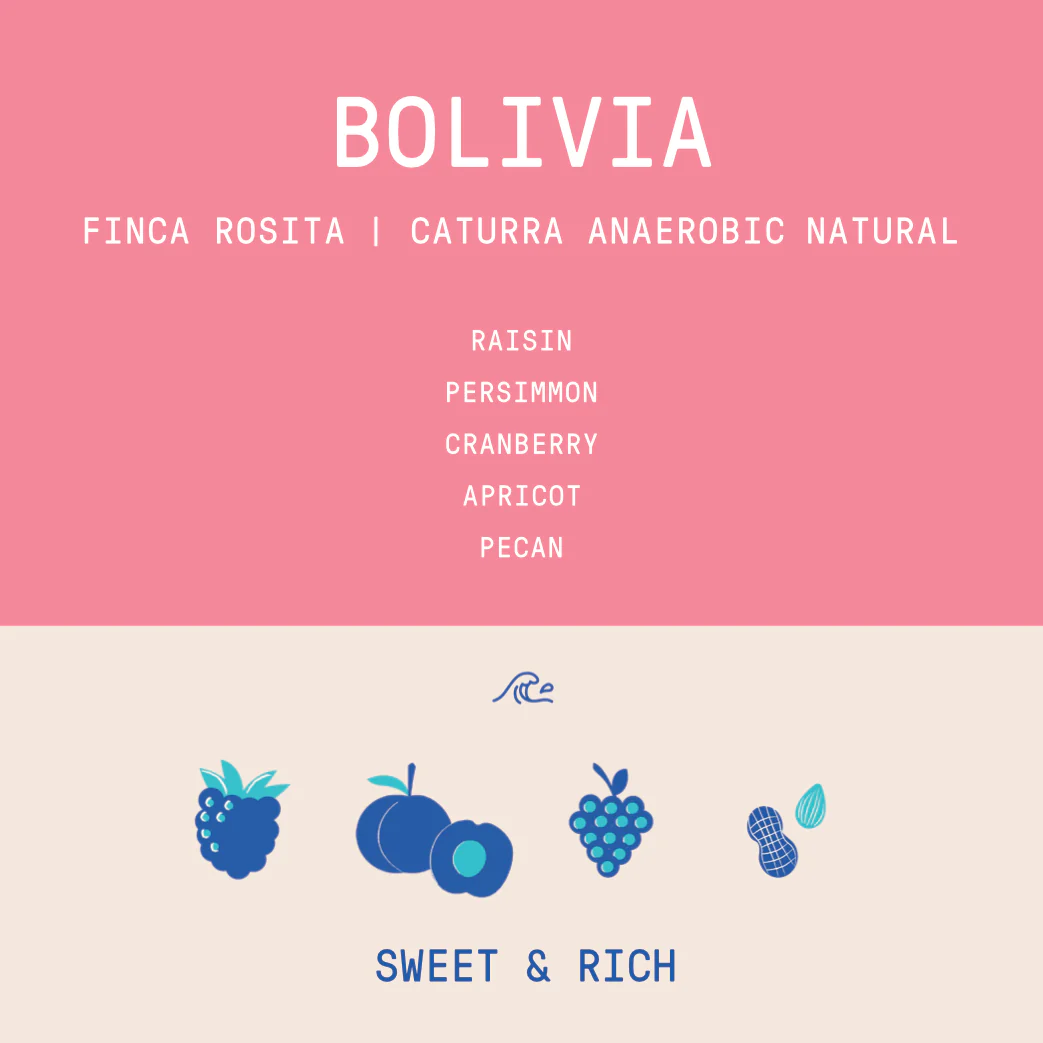 Bolivia - Finca Rosita | Caturra Anaerobic Natural - Archived - Image 2