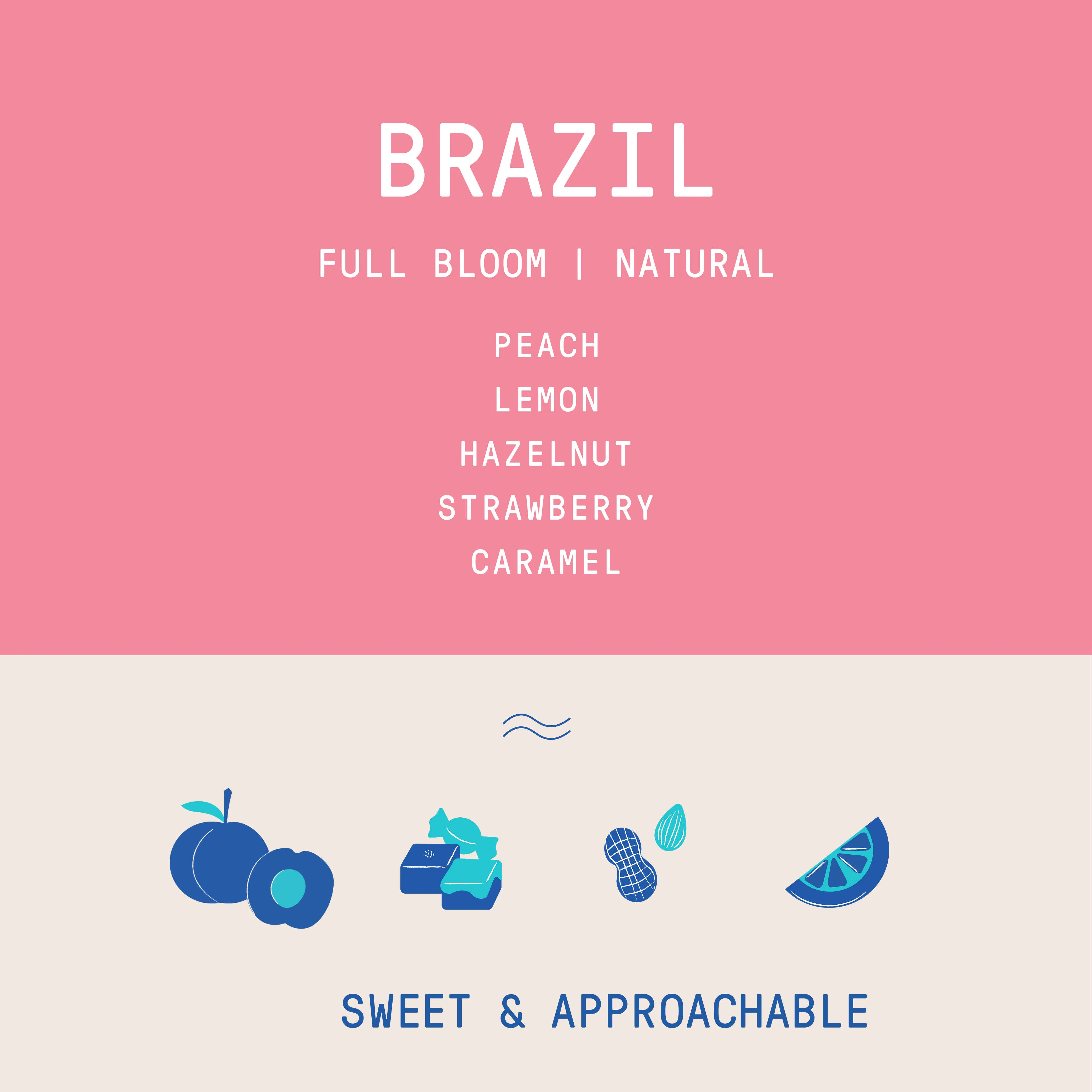 Brazil - Daterra Full Bloom | Natural - Archived - Image 2