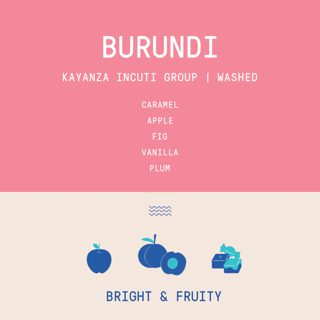 Burundi - Kayanza Incuti Group | Washed - Archived - Image 2
