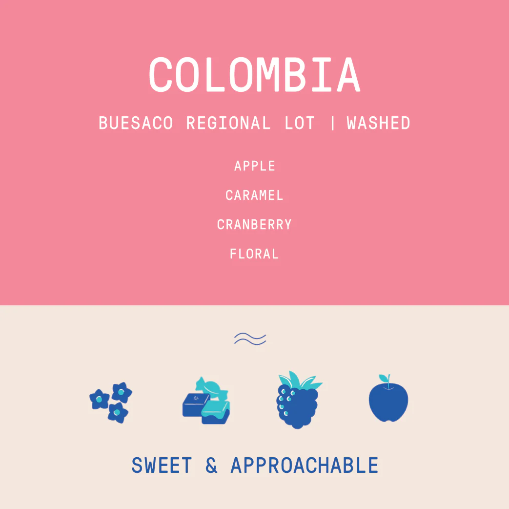 Colombia - Buesaco | Regional Lot Washed - Archived - Image 2
