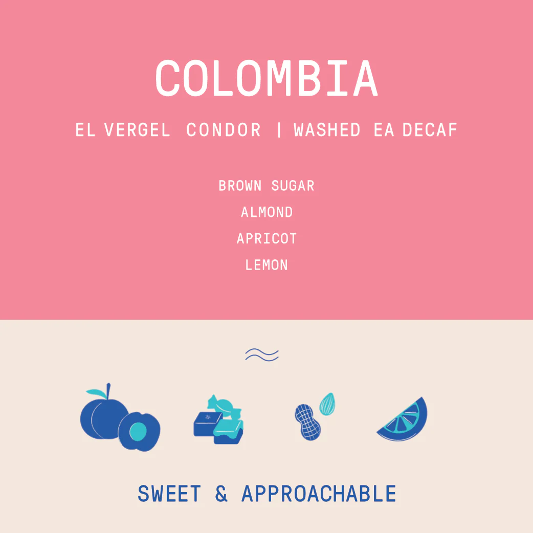 Colombia - El Vergel Condor Decaf - Archived - Image 2