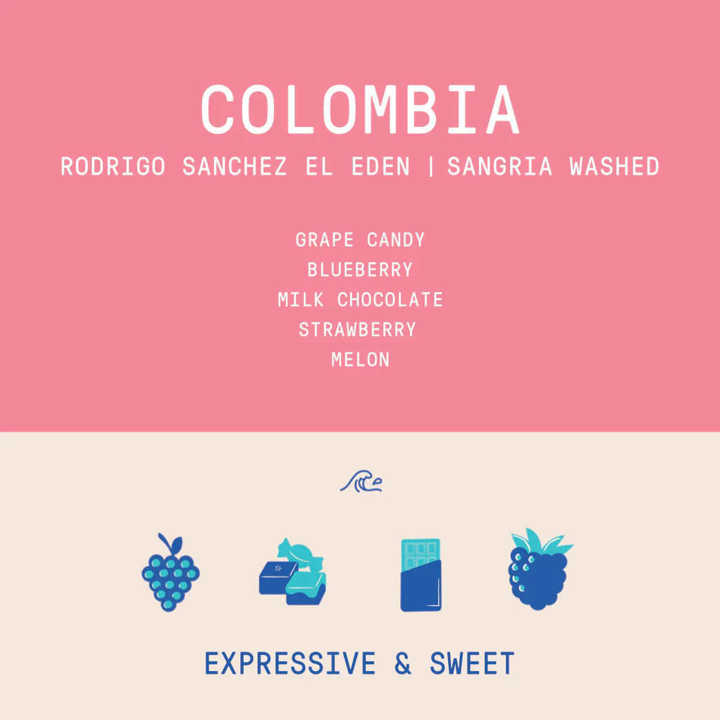 Colombia - El Eden Rodrigo Sanchez | Sangria Washed Co-ferment - Archived - Image 2