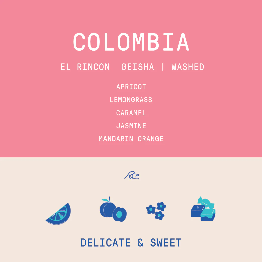 Colombia - El Rincon Diego Horta | Geisha Washed - 200g - Archived - Image 2