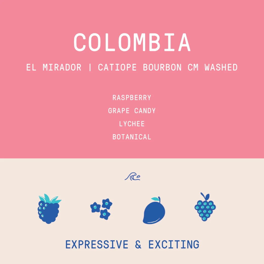 Colombia - Elkin Guzman El Mirador Catiope Bourbon | CM Washed - Archived - Image 2