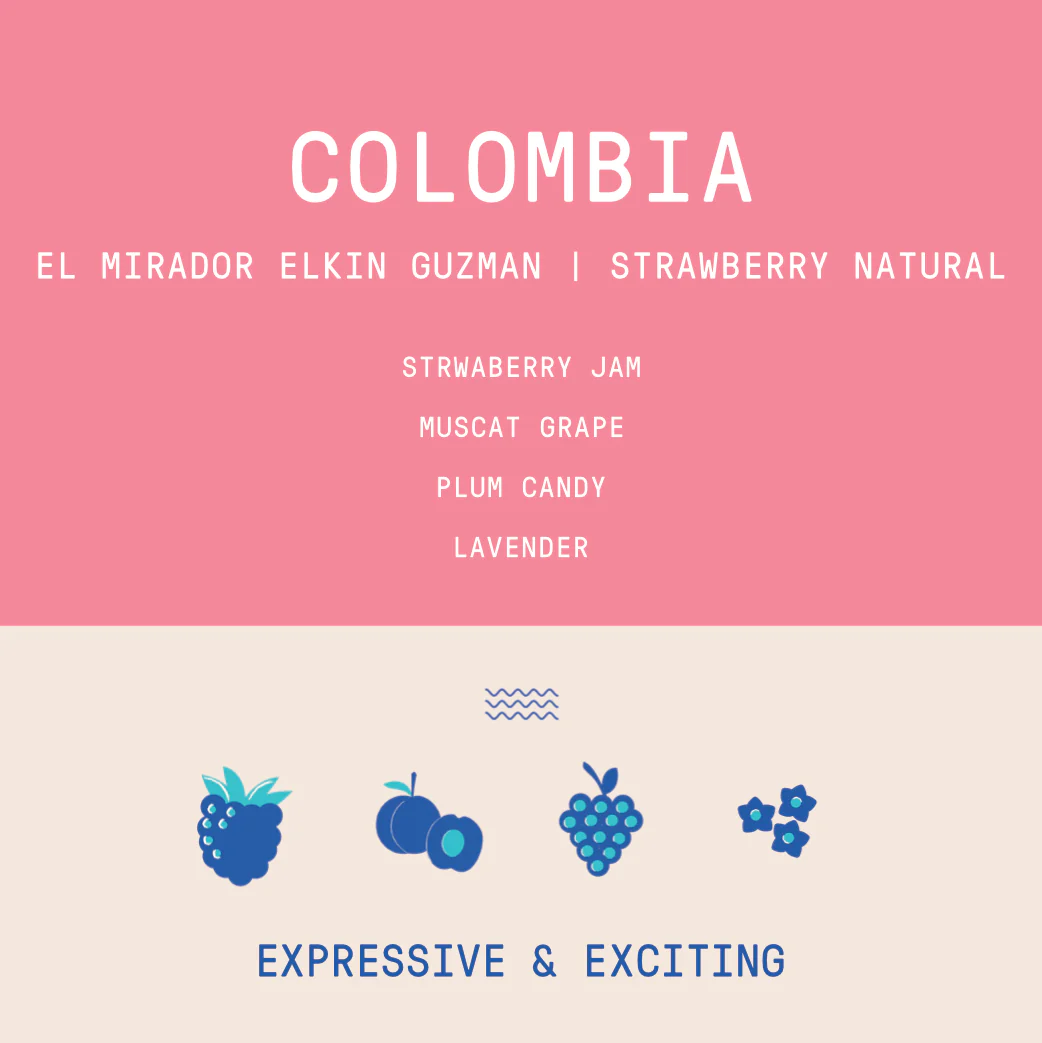 Colombia - Elkin Guzman El Mirador Catiope | Strawberry Co-ferment - Archived - Image 2