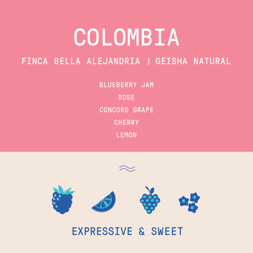 Colombia - Finca Bella Alejandria Wilder Lazo | Geisha Natural 300 hour - Archived - Image 2