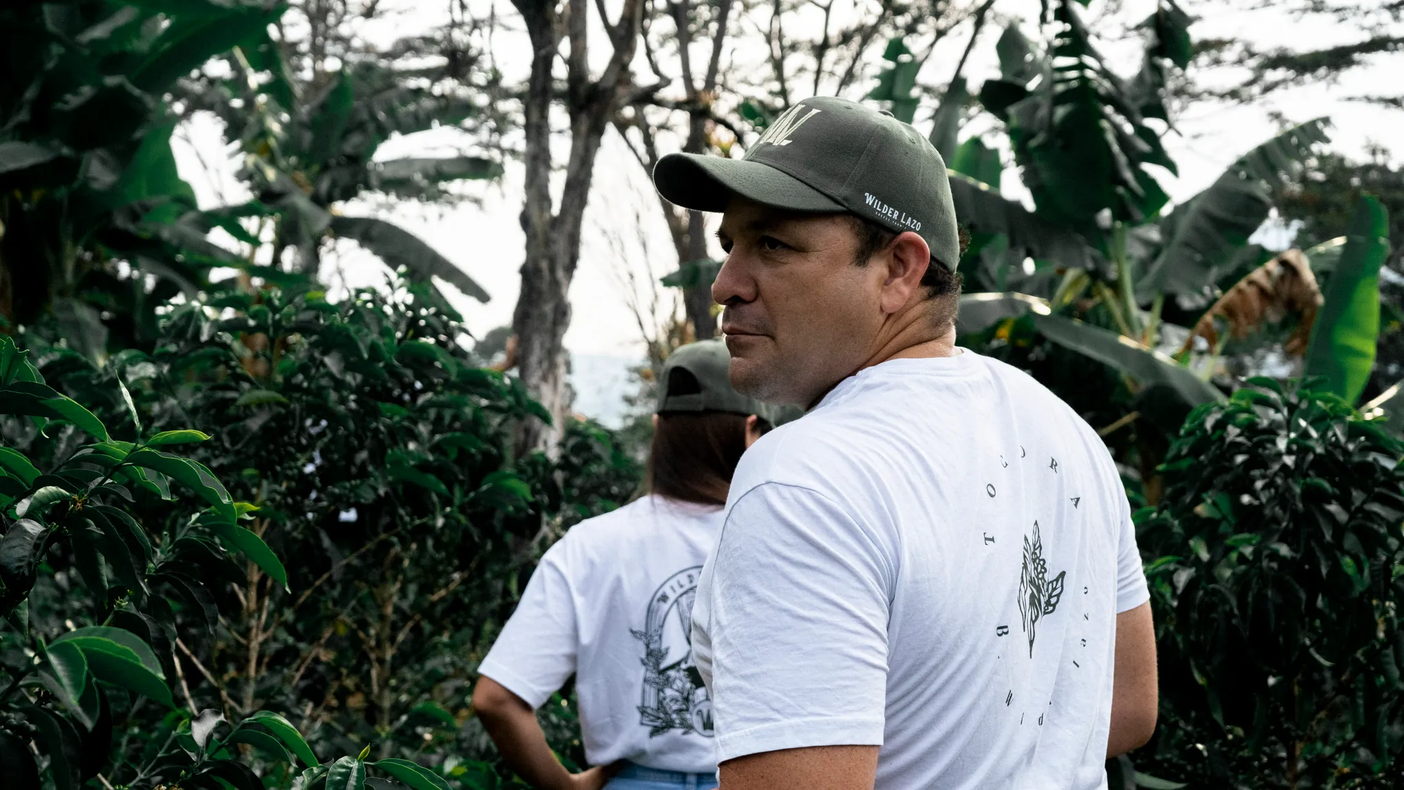 Colombia - Finca Bella Alejandria Wilder Lazo | Geisha Natural 300 hour - Archived - Image 4