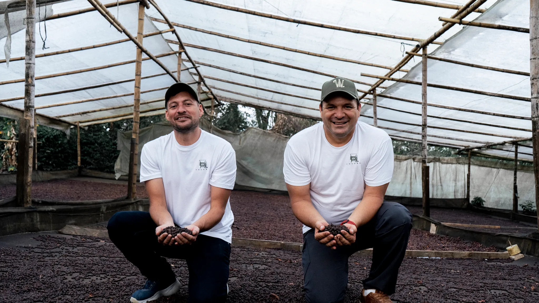 Colombia - Finca Bella Alejandria Wilder Lazo | Geisha Natural 300 hour - Archived - Image 5