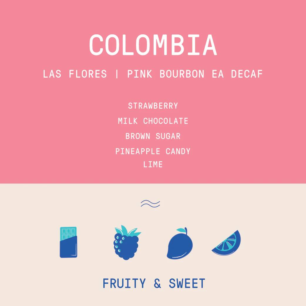 Colombia - Finca Las Flores | EA DECAF Pink Bourbon - Archived - Image 2