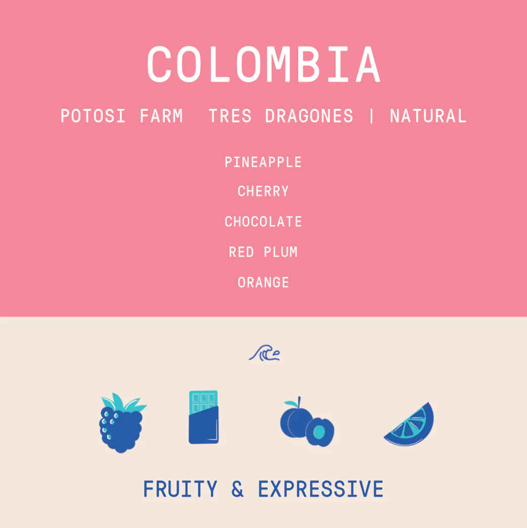 Colombia - Finca Potosi | Tres Dragones Natural - Archived - Image 2