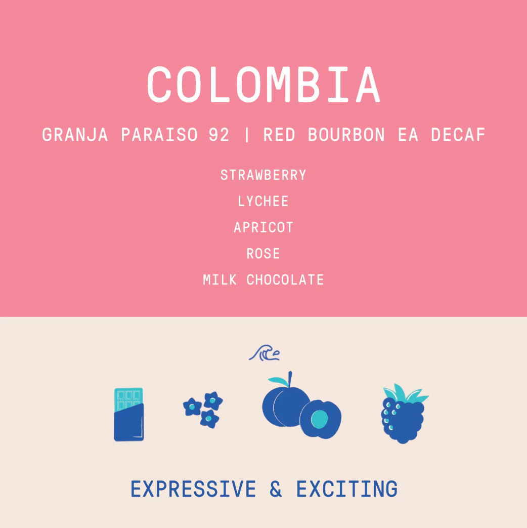 Colombia - Granja Paraiso 92 | Natural EA DECAF Red Bourbon - Archived - Image 2