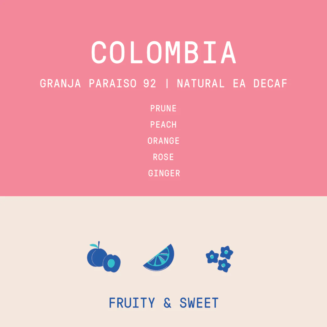 Colombia - Granja Paraiso 92 | Natural EA DECAF Red Bourbon - Archived - Image 2