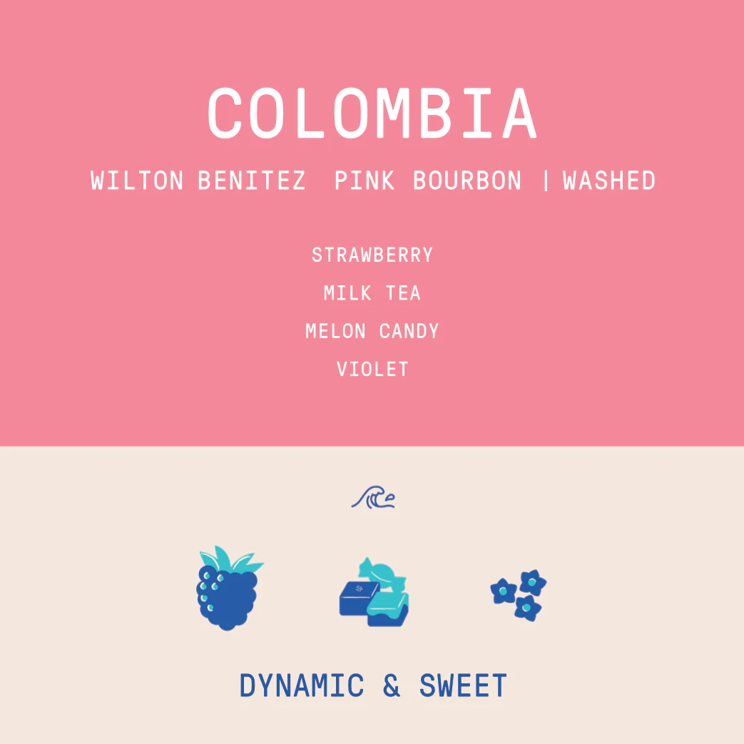 Colombia - Granja Paraiso 92 | Pink Bourbon Thermal Shock Washed - Archived - Image 2