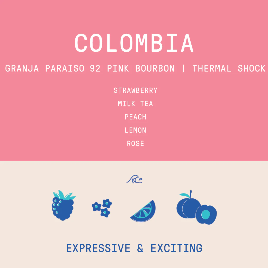Colombia - Granja Paraiso 92 | Pink Bourbon Thermal Shock Washed 2026 - Archived - Image 2