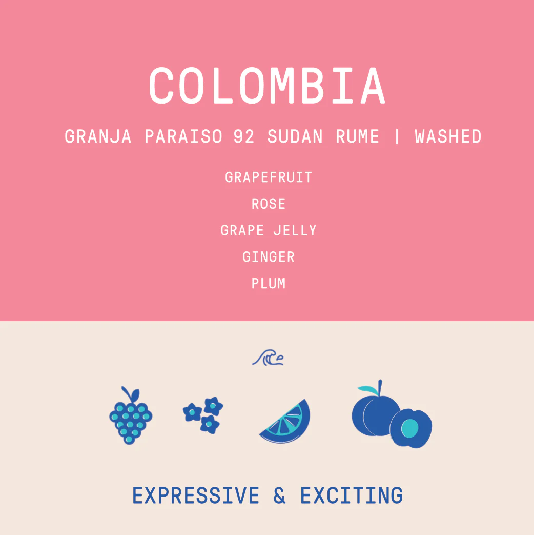 Colombia - Granja Paraiso 92 | Sudan Rume Anaerobic Washed 2025 - 100g - Archived - Image 2