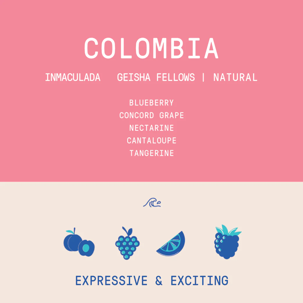 Colombia - Inmaculada Geisha Fellows | Natural - Archived - Image 2