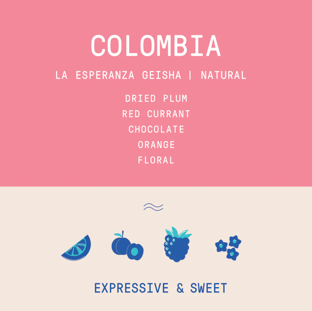 Colombia - La Esperanza Geisha | Natural - Archived - Image 2