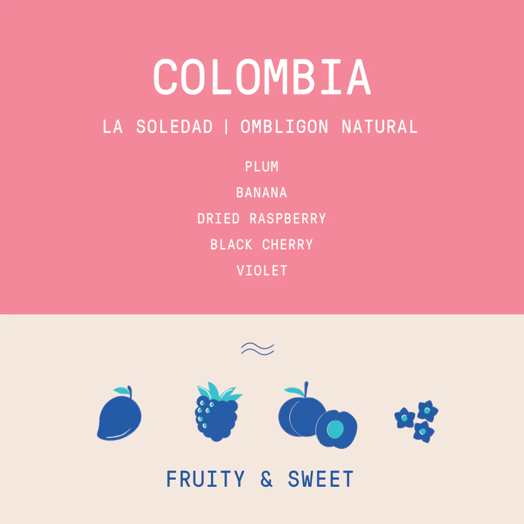 Colombia - La Soledad 2024 | Ombligon Natural - Archived - Image 2