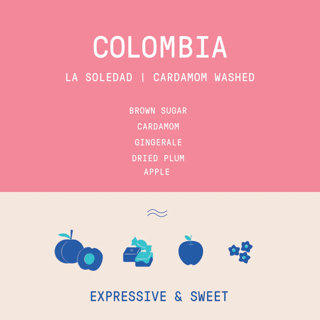 Colombia - La Soledad | Caturra Cardamom Washed - Archived - Image 2