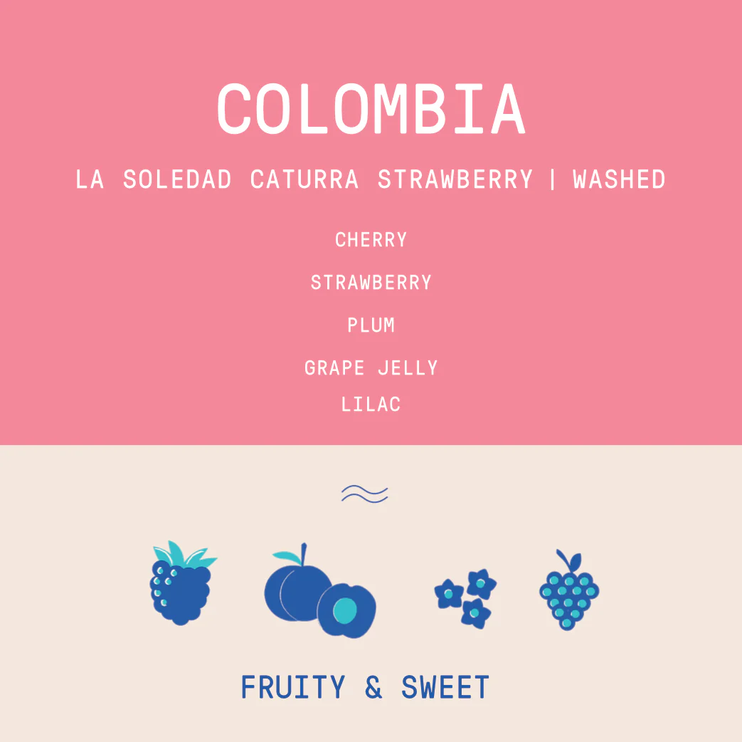 Colombia - La Soledad | Caturra Strawberry Washed - Archived - Image 2