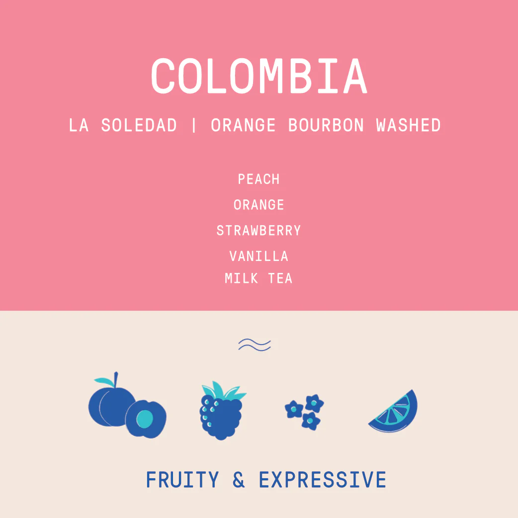 Colombia - La Soledad | Orange Bourbon Fermented Washed - Archived - Image 2