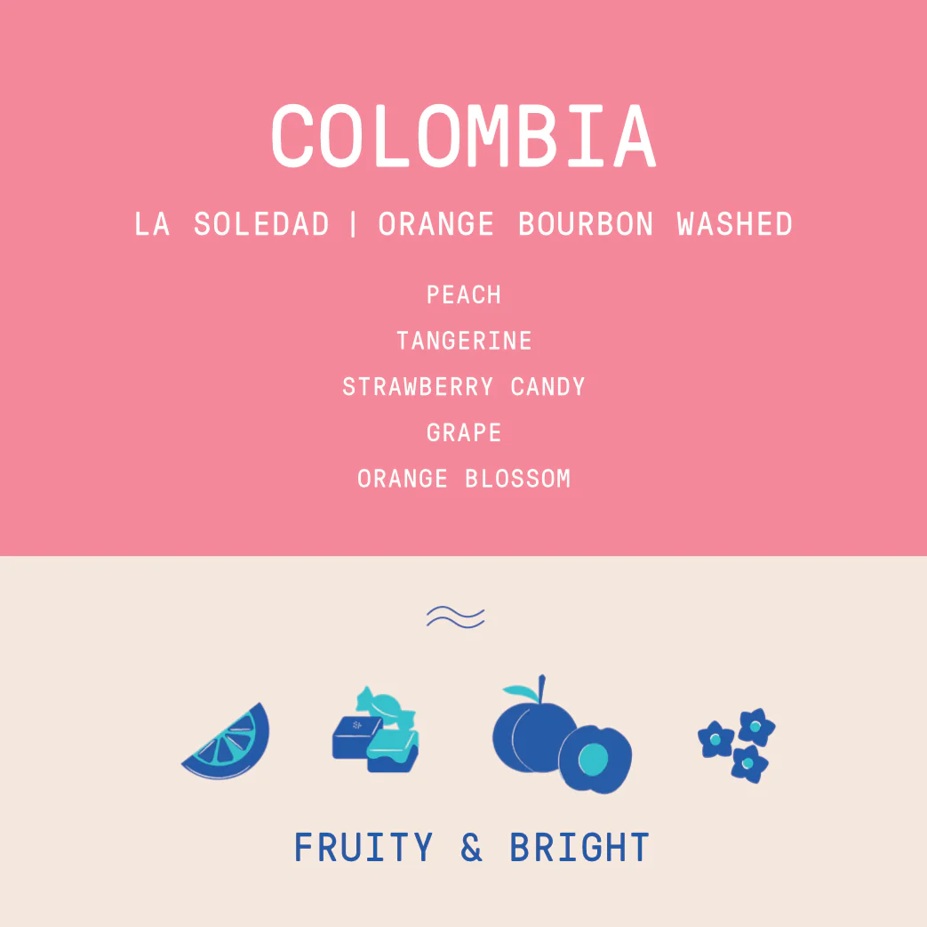 Colombia - La Soledad | Orange Bourbon Fermented Washed 2025 - Archived - Image 2