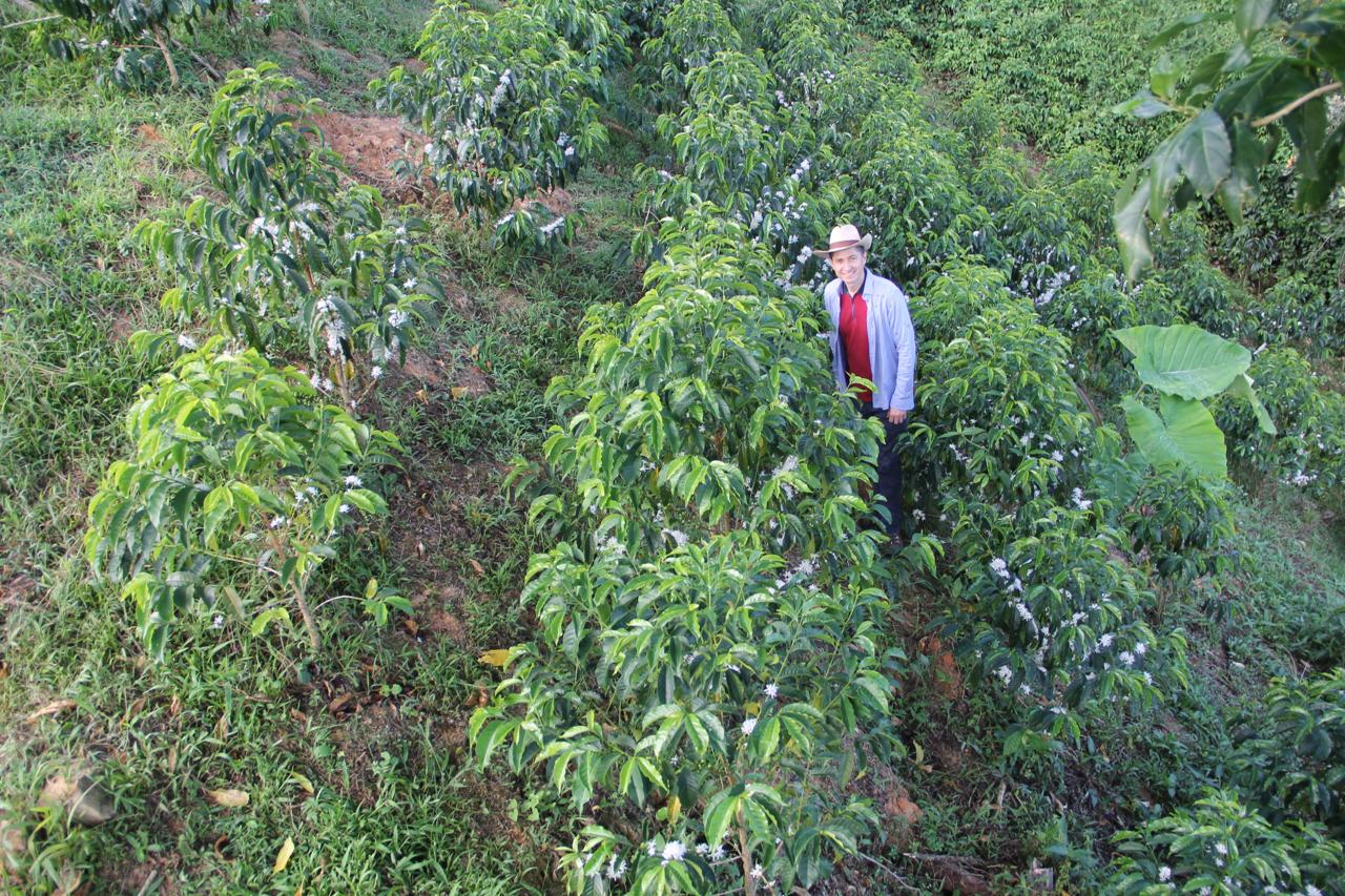 Colombia - La Soledad | Orange Bourbon Fermented Washed 2025 - Archived - Image 5
