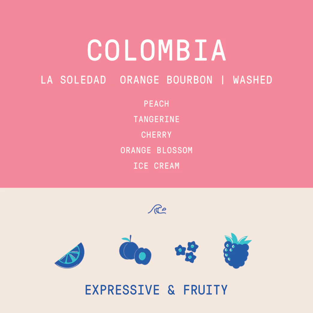 Colombia - La Soledad | Orange Bourbon Fermented Washed - Archived - Image 2