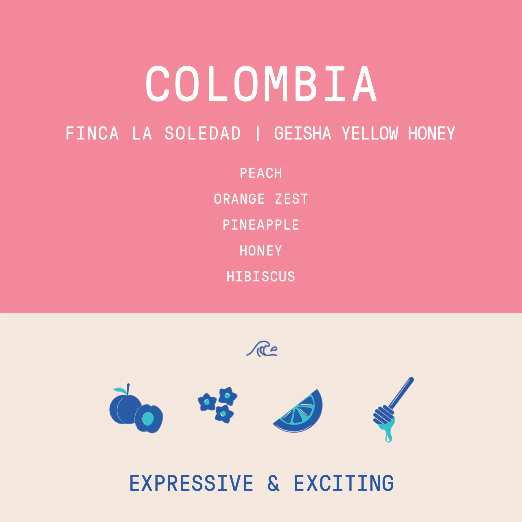 Colombia - La Soledad | Yellow Geisha - Archived - Image 2