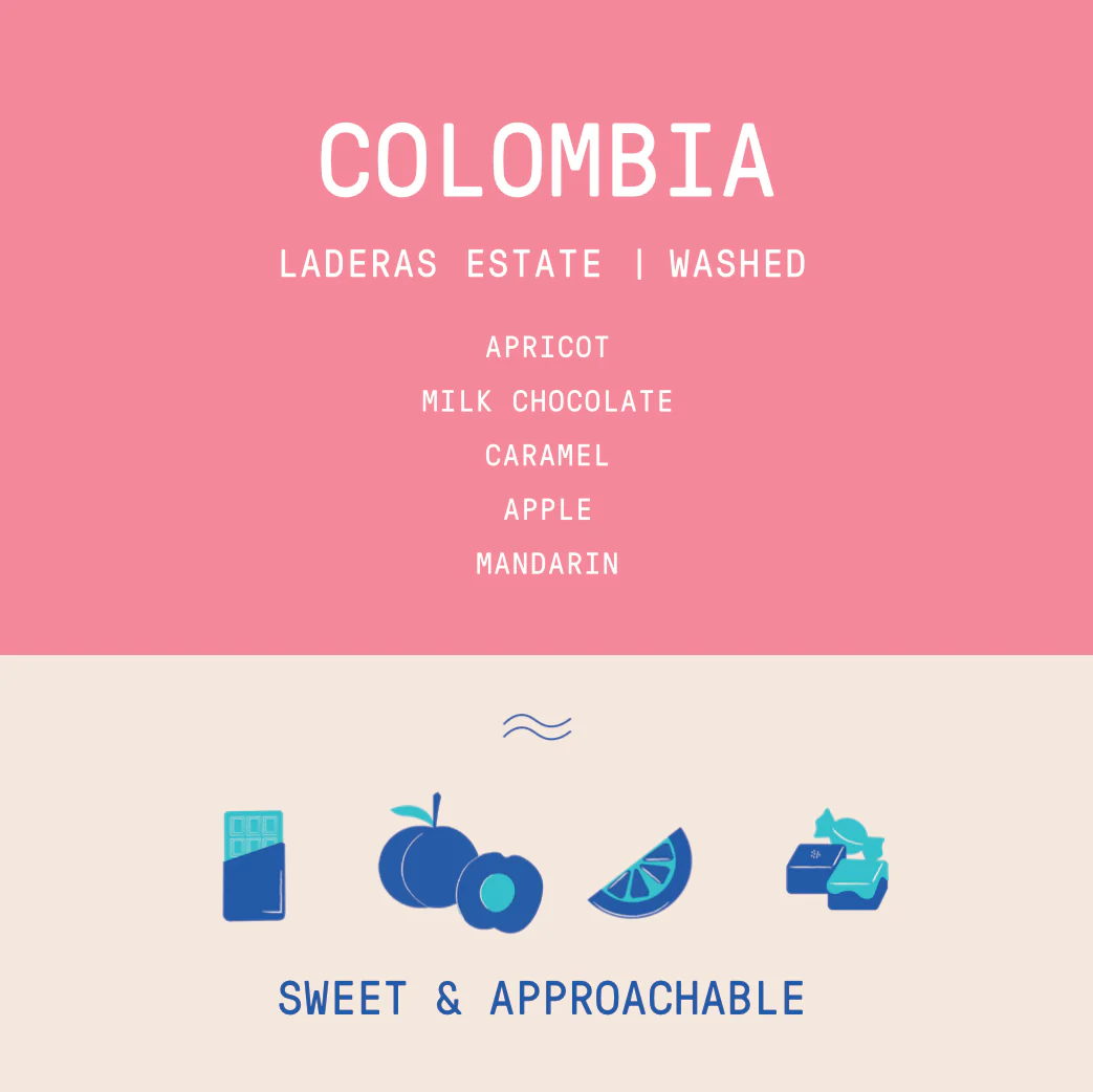 Colombia - Laderas del Tapias | Estate Lot Washed - Archived - Image 2