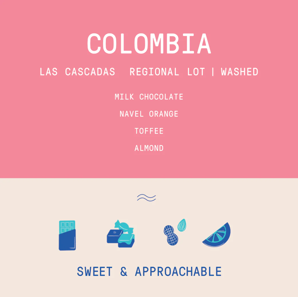 Colombia - Las Cascadas | Regional Lot Washed - Archived - Image 2