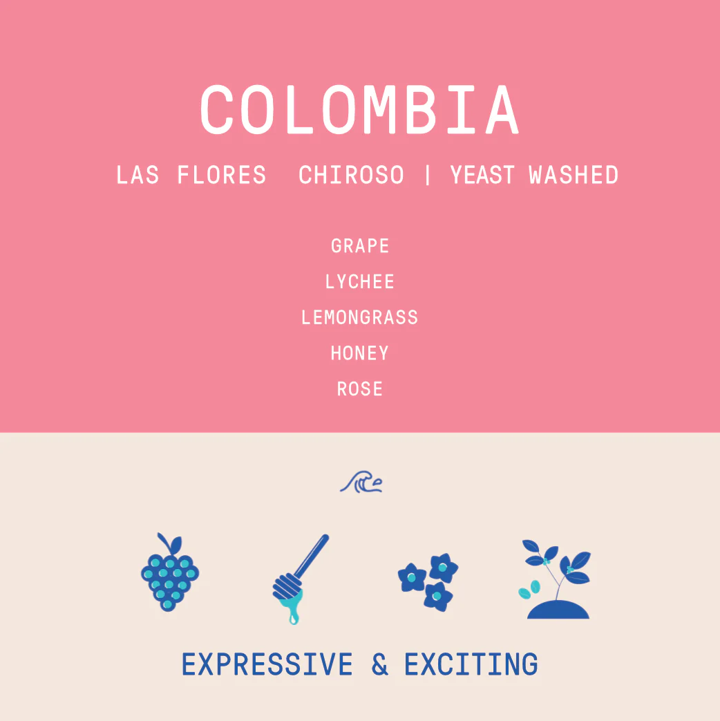 Colombia - Las Flores | Chiroso Thermal Shock Yeast Anaerobic Washed - Archived - Image 2