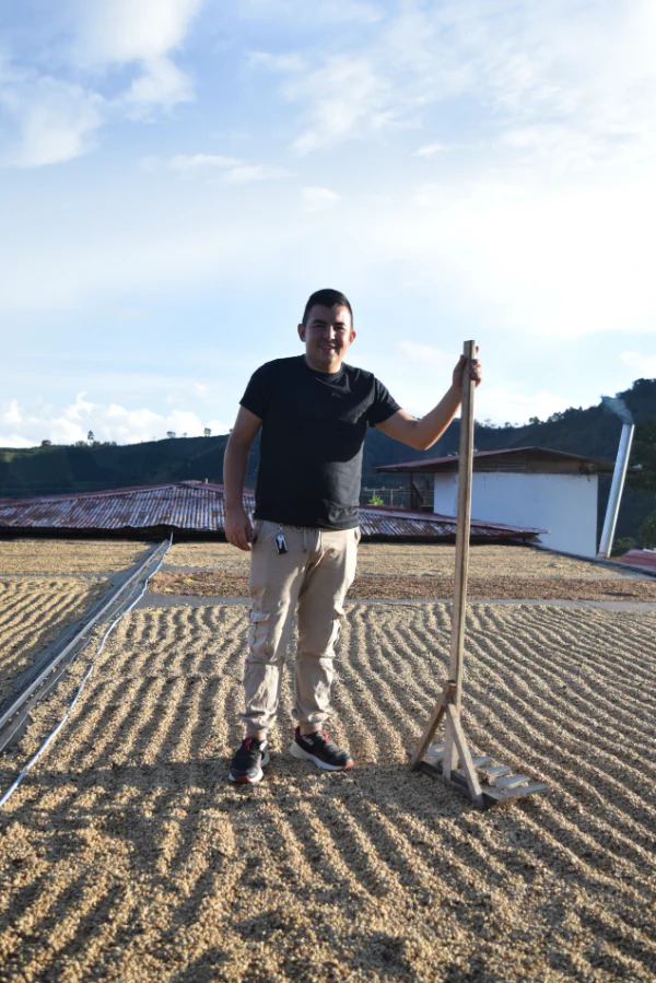 Colombia - Las Flores | Chiroso Thermal Shock Yeast Anaerobic Washed - Archived - Image 3