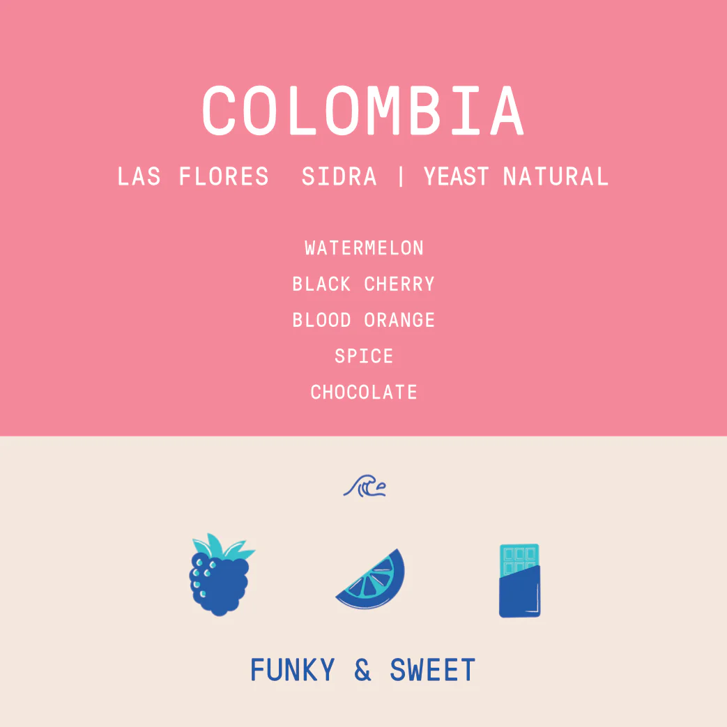 Colombia - Las Flores | Sidra Thermal Shock Yeast Anaerobic Natural - Archived - Image 2