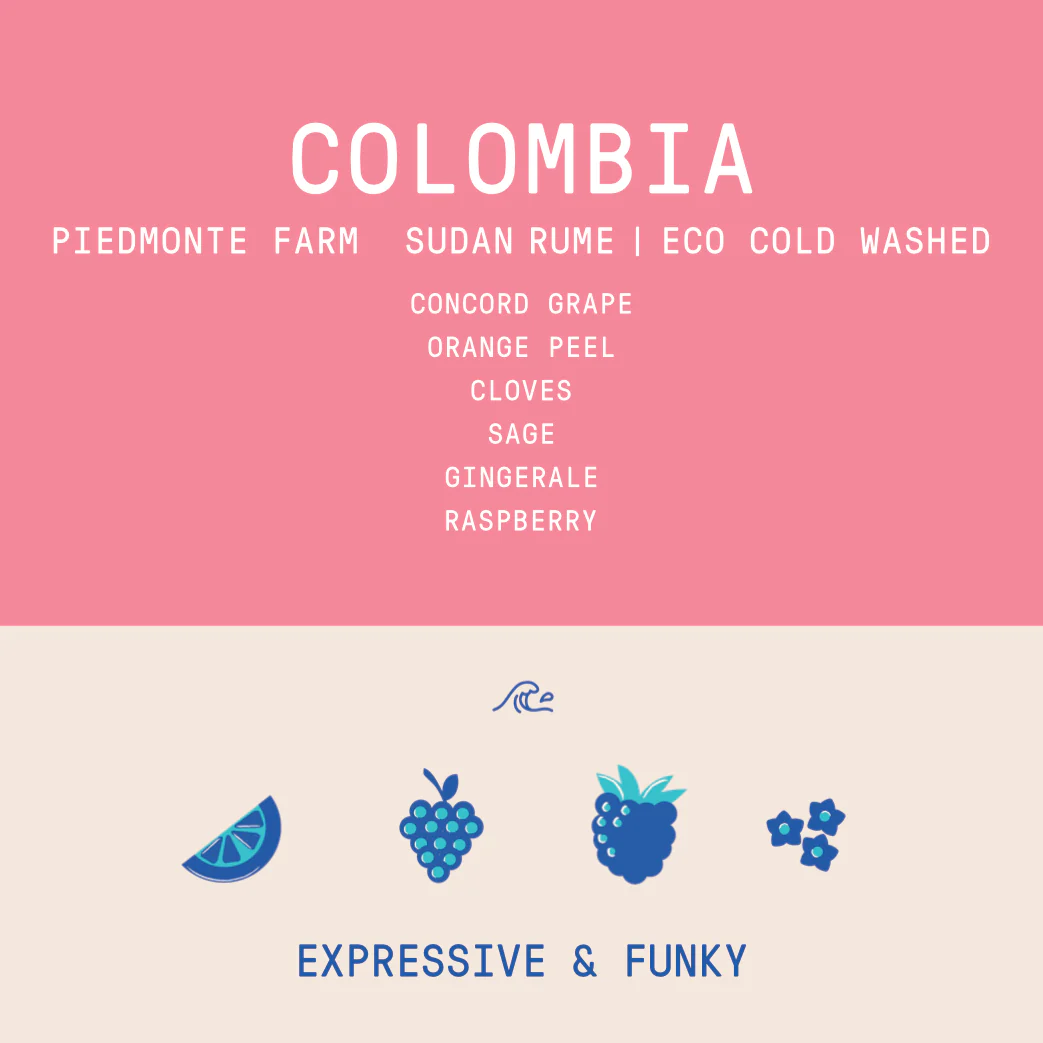 Colombia - Las Gaviotas Piedmonte Farm | Sudan Rume Eco Cold Washed 150g - Archived - Image 2