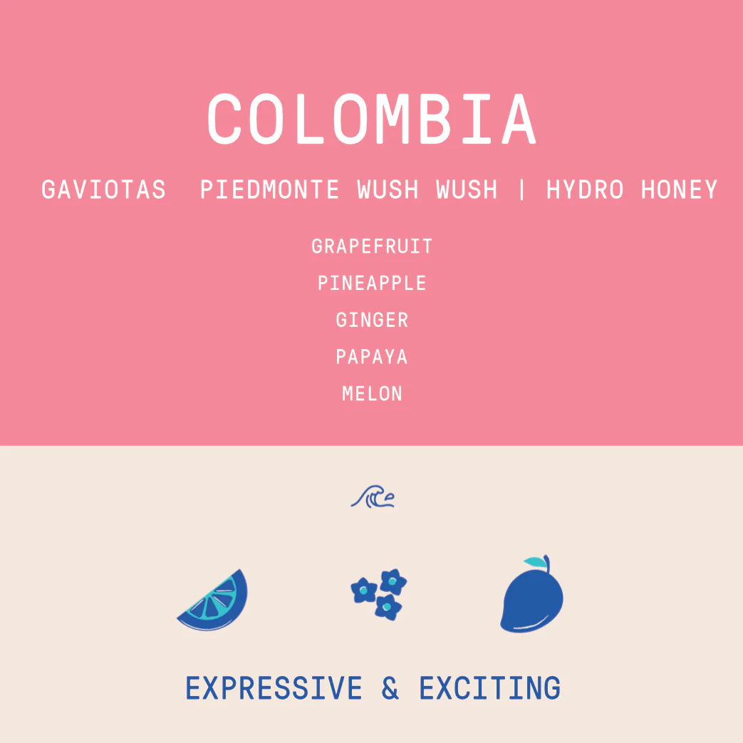 Colombia - Las Gaviotas Piedmonte Farm | Wush Wush Hydro Honey - 150g - Archived - Image 2