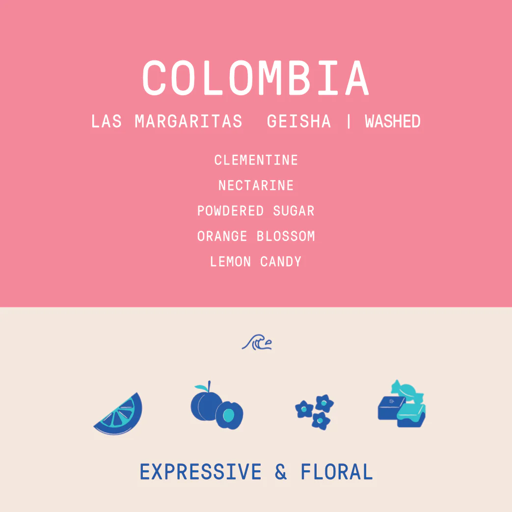 Colombia - Las Margaritas  Geisha | Washed - 100g - Archived - Image 2