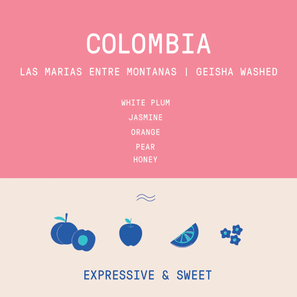 Colombia - Las Marias Entre Montanas Geisha | Washed 100g - Archived - Image 2