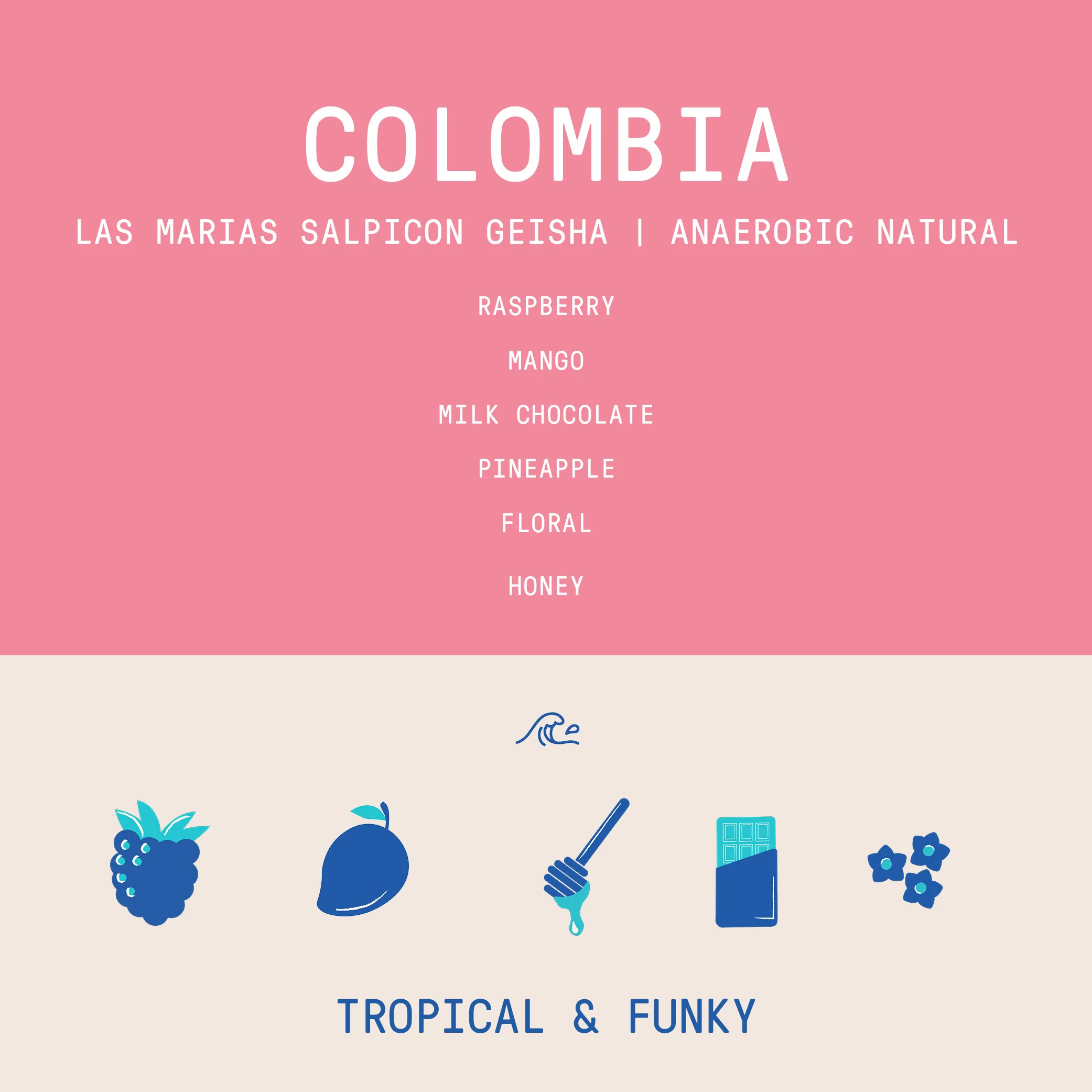 Colombia - Las Marias Salpicon Geisha | 96 hour Anaerobic Natural - 100g - Archived - Image 2