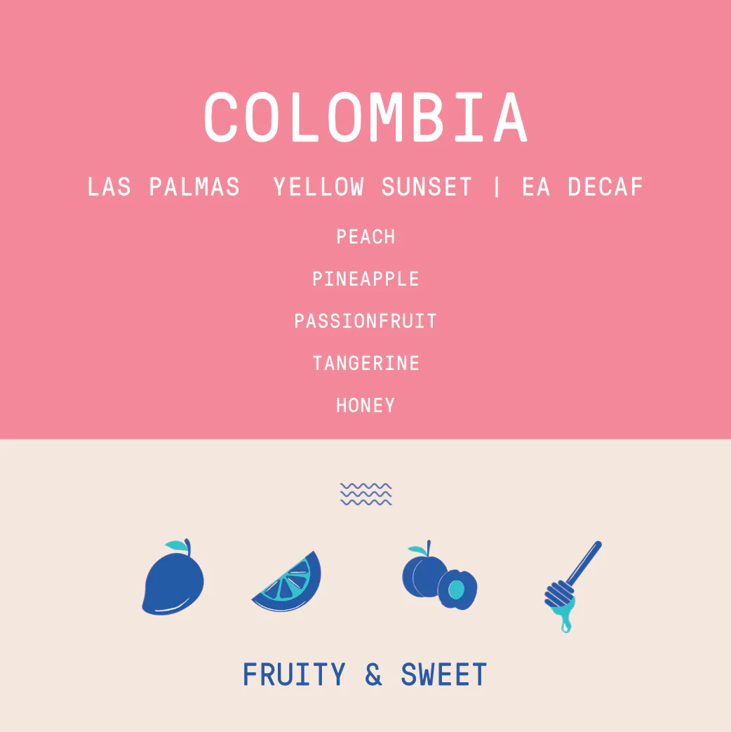 Colombia - Las Palmas Yellow Sunset | Fruit Fermented EA DECAF - Archived - Image 2