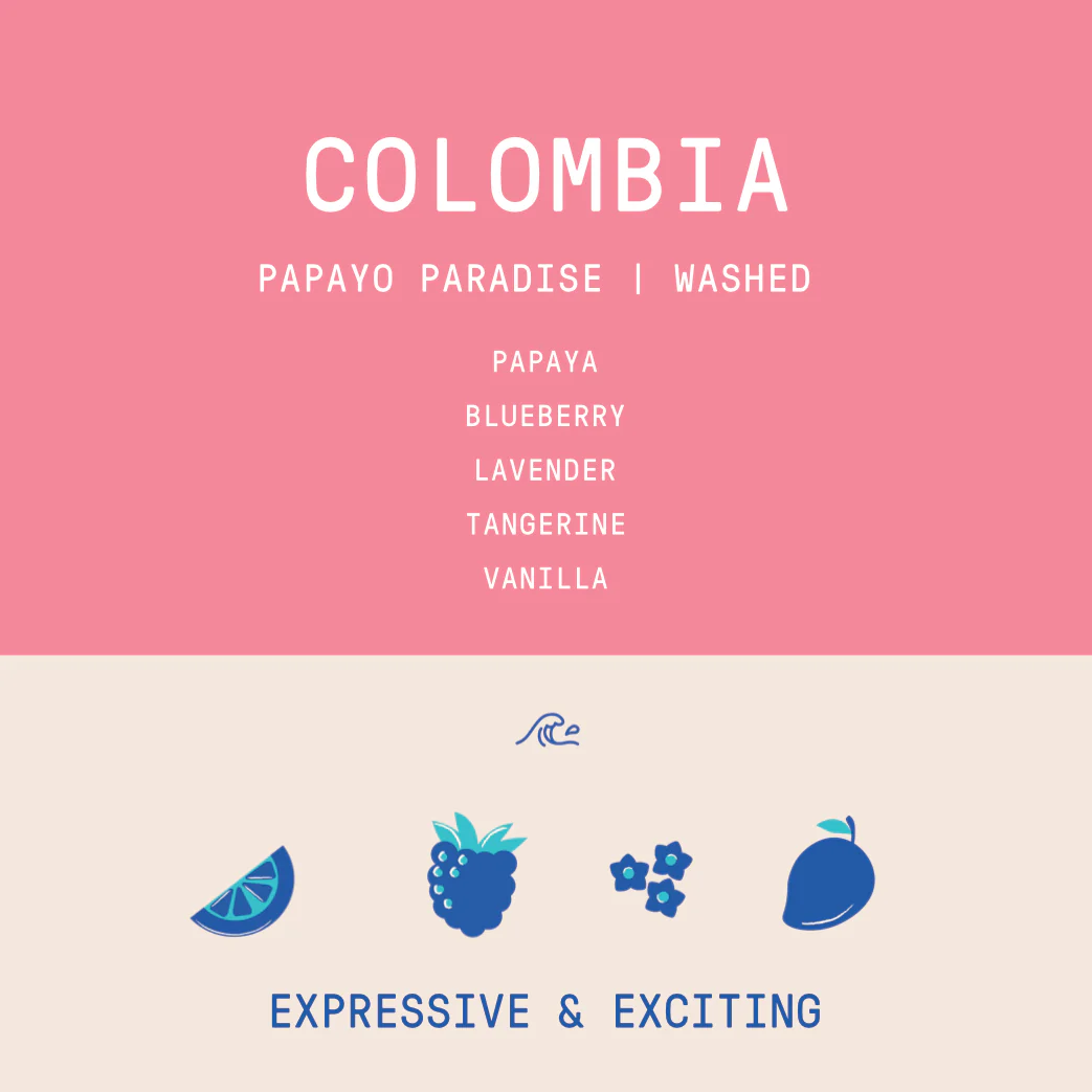 Colombia - María Belén Díaz | Papayo Paradise Washed - Archived - Image 2