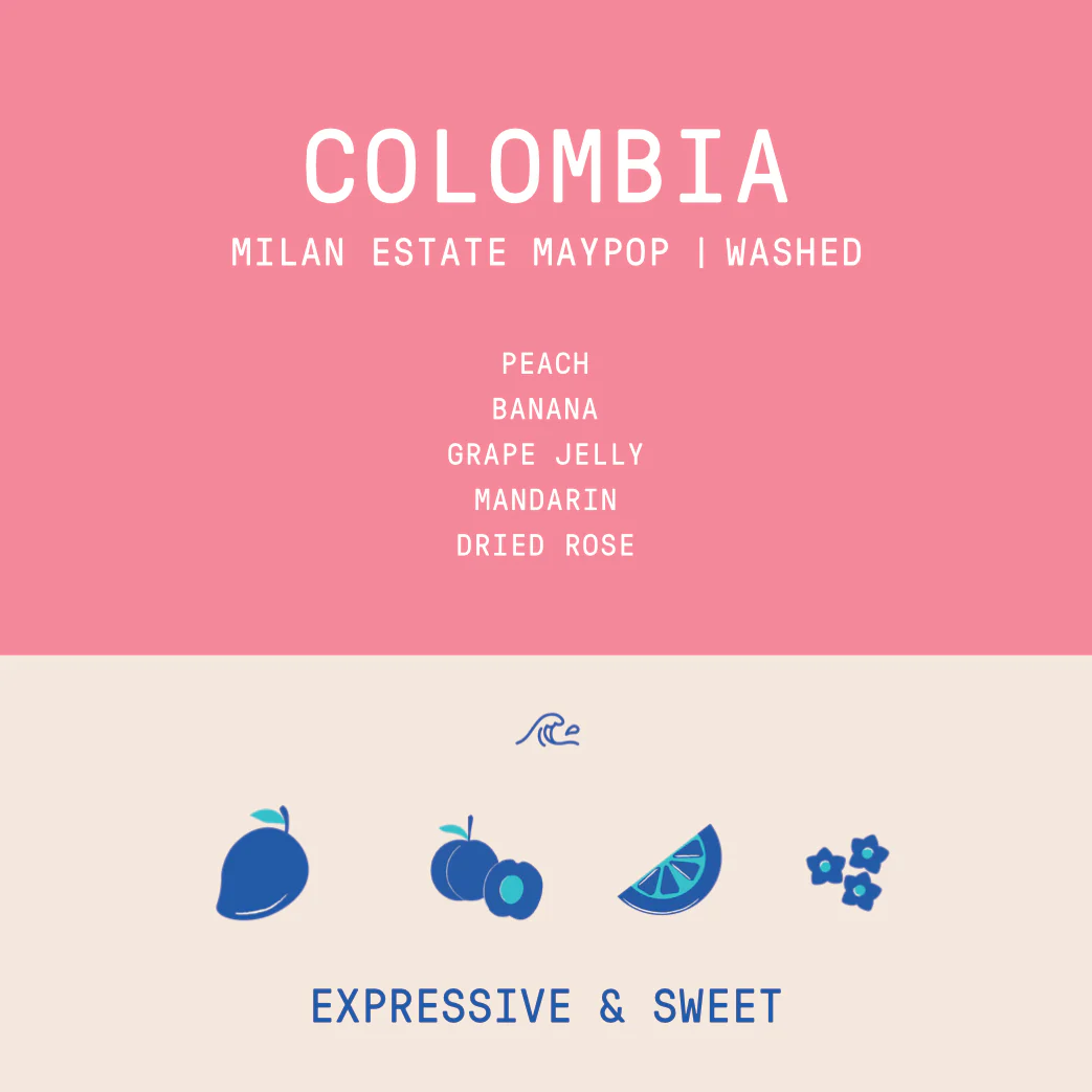Colombia - Milan Estate Maypop | Lychee Culturing Washed - Archived - Image 2
