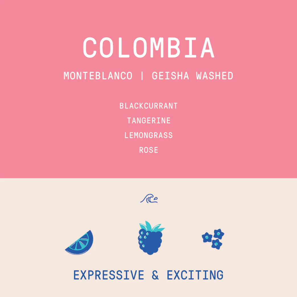 Colombia - Monteblanco Geisha | Washed - Archived - Image 2