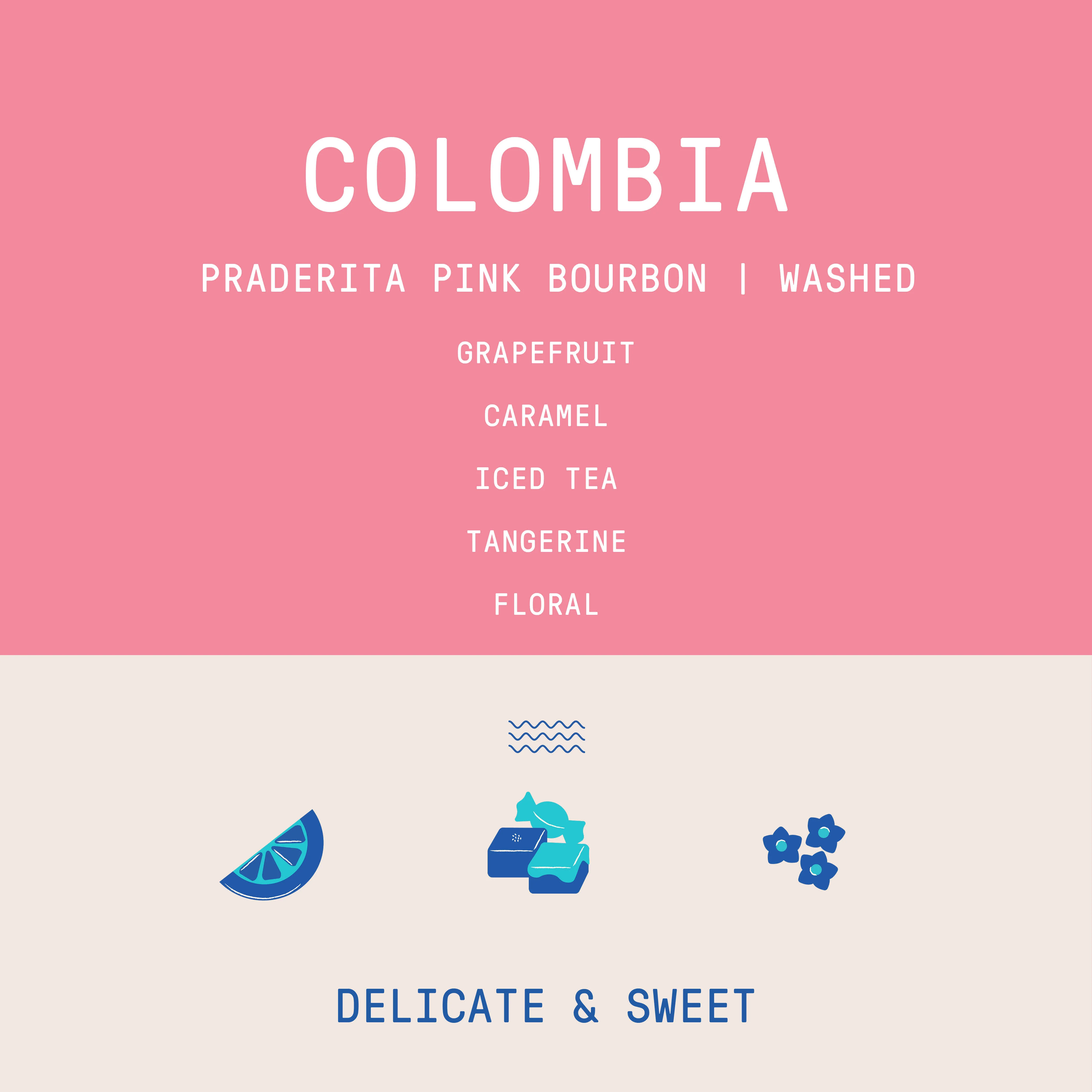 Colombia - Praderita | Pink Bourbon Washed - Archived - Image 2