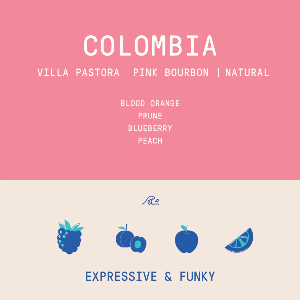 Colombia - Villa Pastora | Pink Bourbon Natural - Archived - Image 2