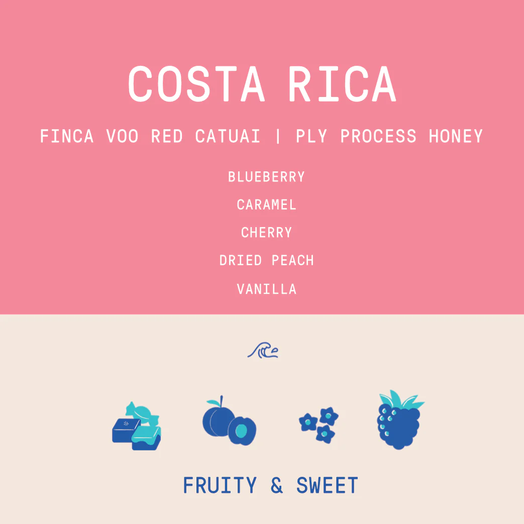 Costa Rica - Finca VOO Red Catuai | Ply Process Cold Fermentation Honey - Archived - Image 2