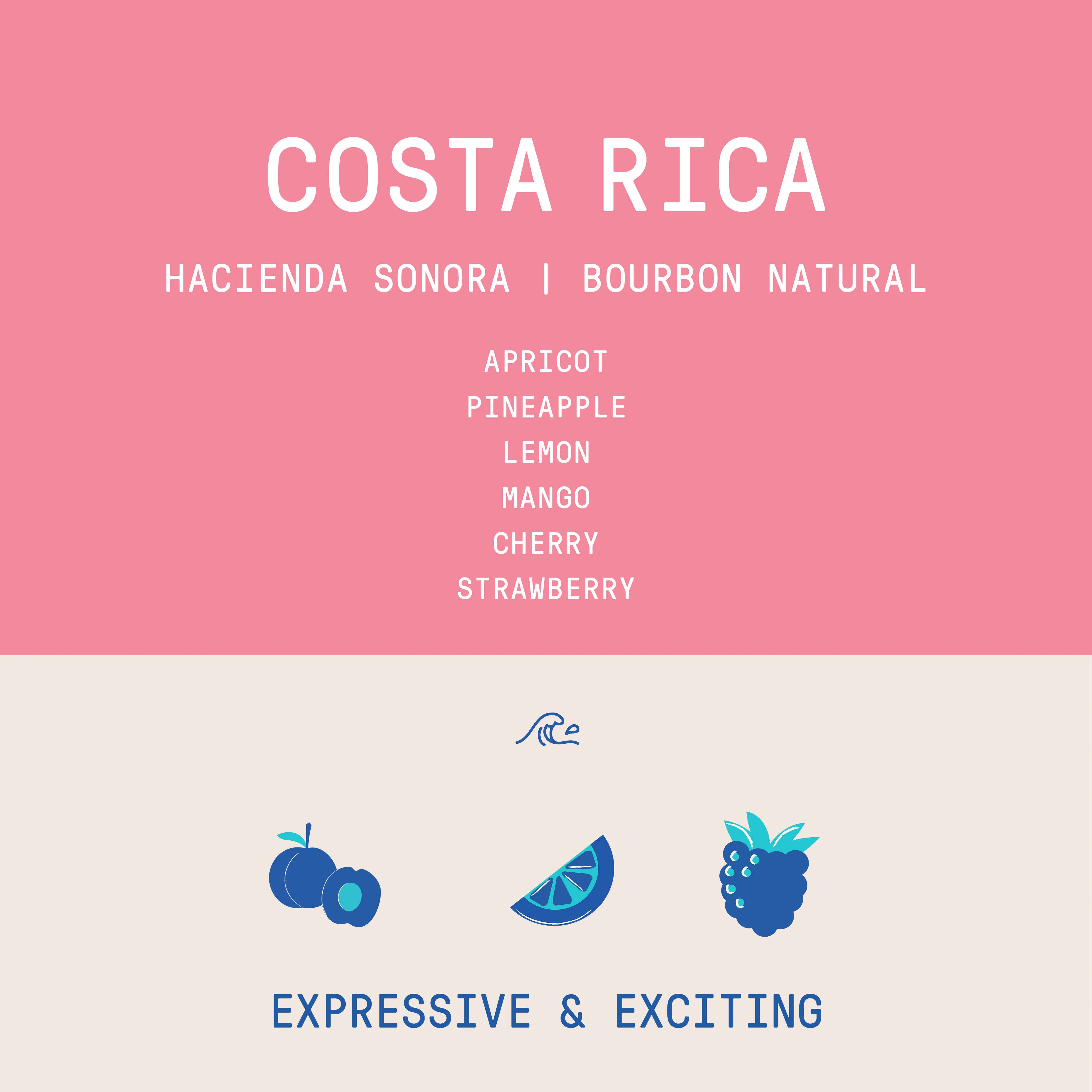 Costa Rica - Hacienda Sonora | Bourbon Natural - 150g - Archived - Image 2