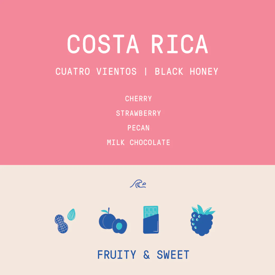 Costa Rica - Ivan Solis - Cuatro Vientos | Black Honey - Archived - Image 2